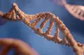 Science Frontiers: Space, Soccer Tech, Longevity & Conservation