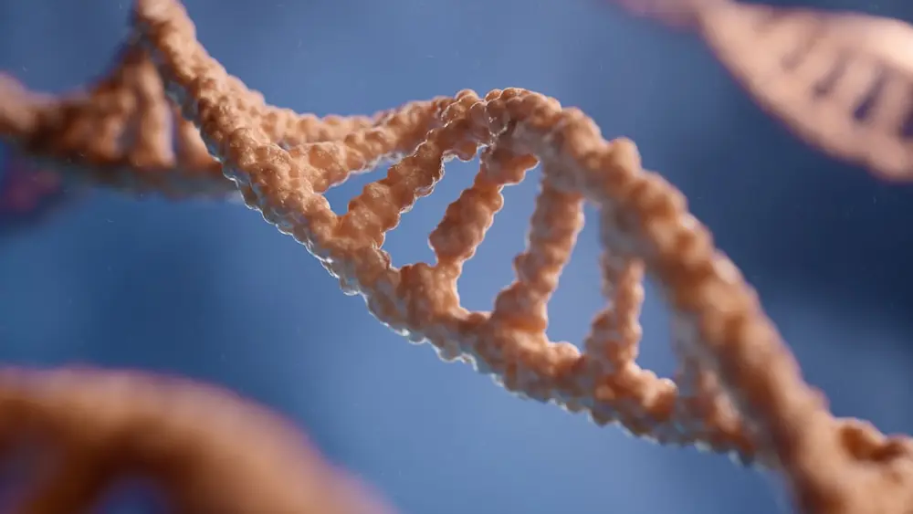 Science Frontiers: Space, Soccer Tech, Longevity & Conservation